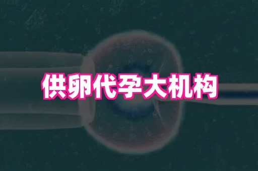 河南助孕网站 1