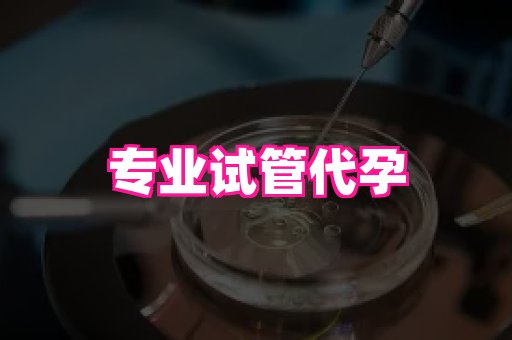 河南助孕网站 2