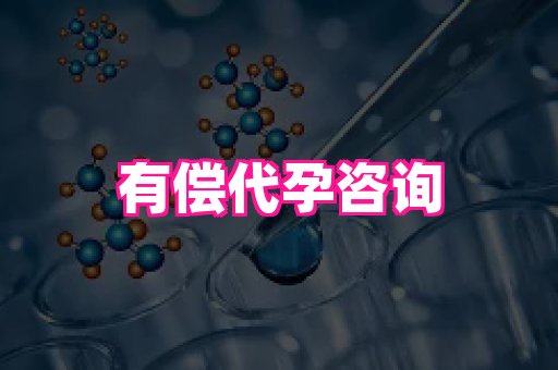 河南助孕网站 3