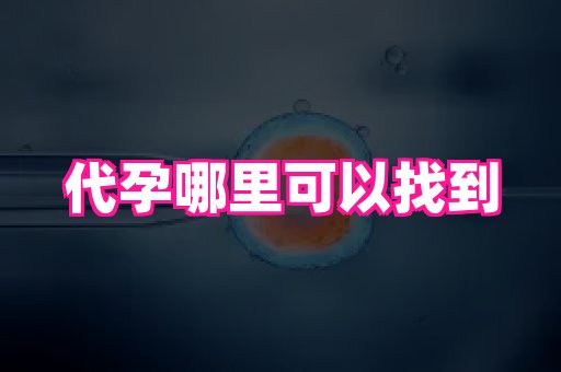 河南助孕网站 4